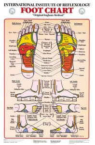 carte des zones des pieds en rapport avec les organes - Eunice Ingham